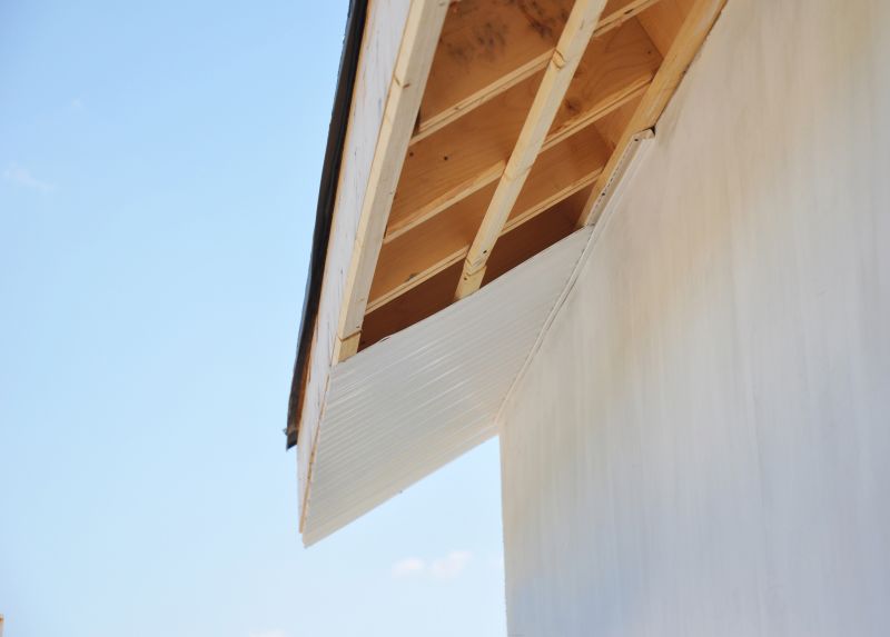 Fascia Repair in Conroe, TX