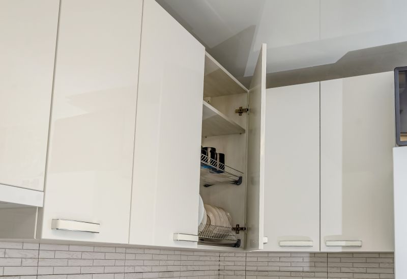 Kitchen Storage Replacement in Indianapolis, IN