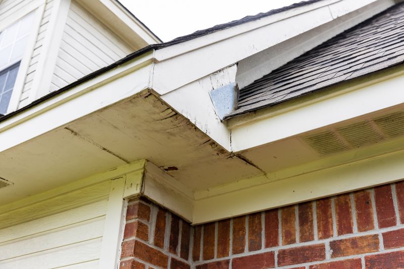 Rotted Fascia Repair in Conroe, TX